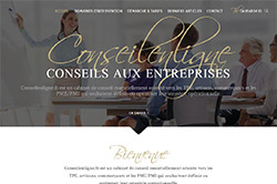 Conception site internet conseilenligne.fr