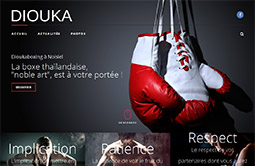 Conception site internet dioukaboxing.fr