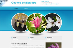 Conception site internet gouttes-de-bien-etre.fr