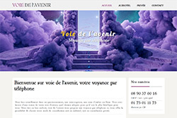Conception site internet voiedelavenir.com